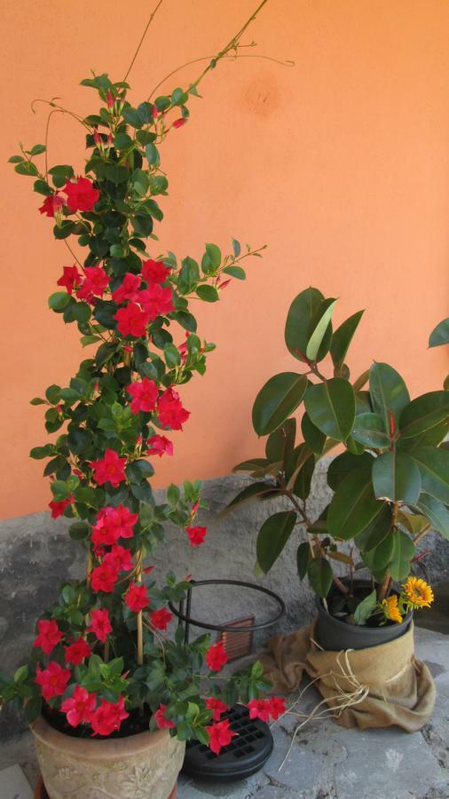 B&B Agora Sarzana Luaran gambar
